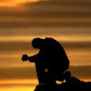 Meet your Posher, Guillermo